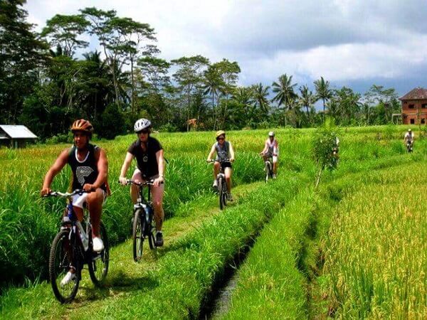 Ubud cycling